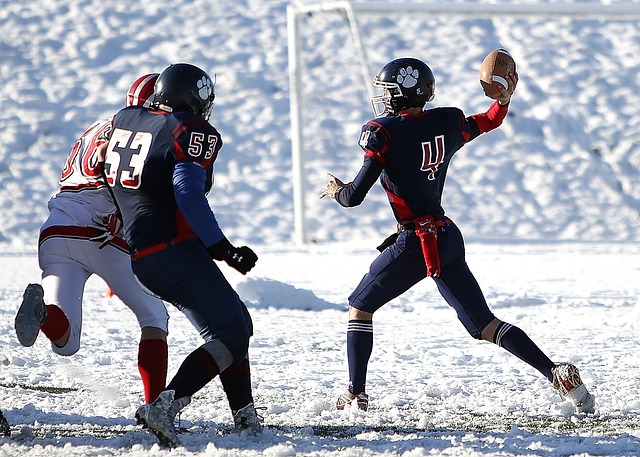 的能力和领 的能力和领