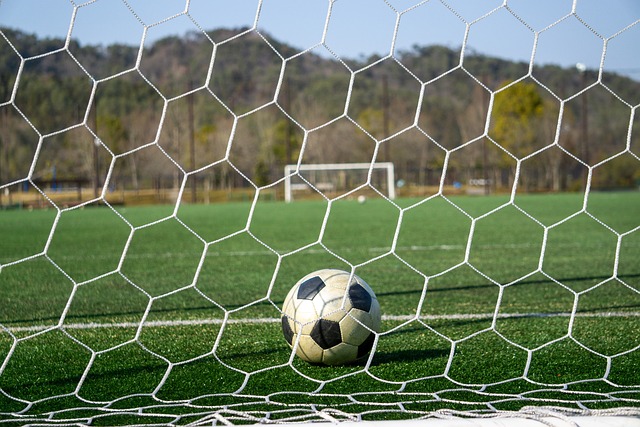 的西部第六 的西部第六