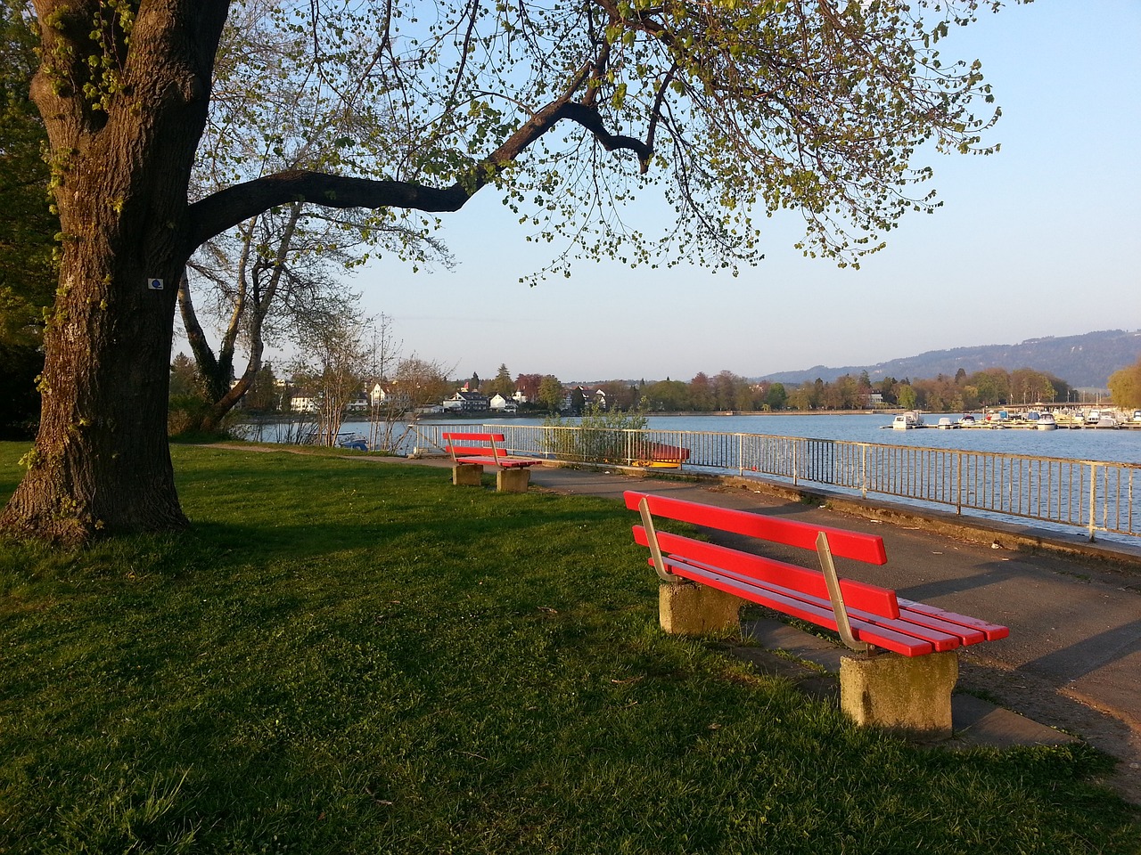 都是孙颖莎 都是孙颖莎