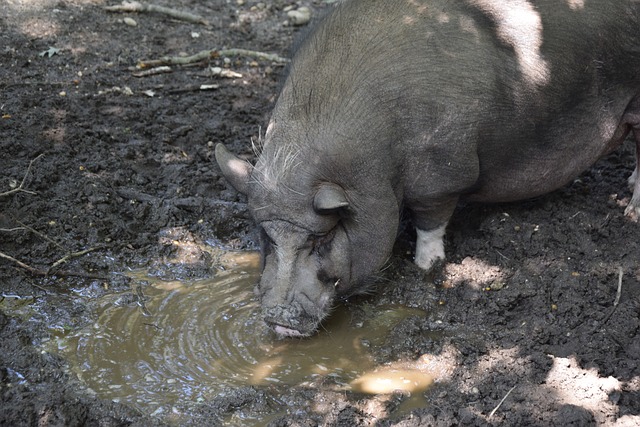 度直面挑战 度直面挑战