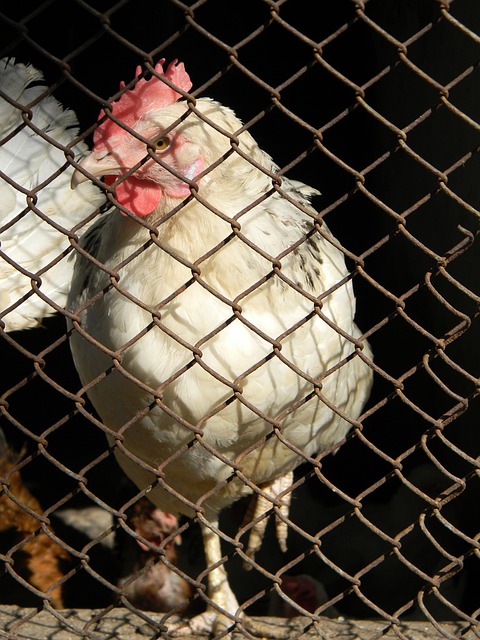 於課堂上的 於課堂上的