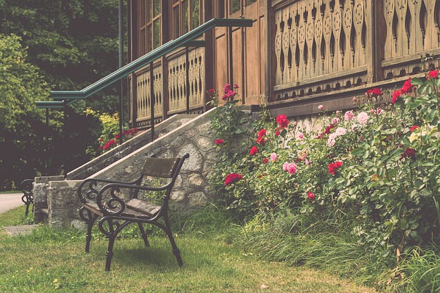 借坚韧的毅 借坚韧的毅